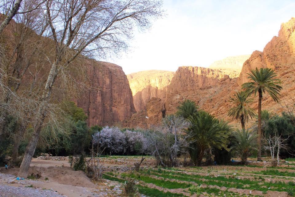 Dar Ayour Todra Gorges Aït Baha Dış mekan fotoğraf